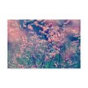 Trademark Fine Art Incredi 'Pink Fragility' Canvas Art, 22x32 ALI35975-C2232GG